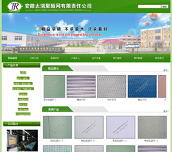 安徽太瑞聚酯網(wǎng)有限責(zé)任公司網(wǎng)站建設(shè)案例